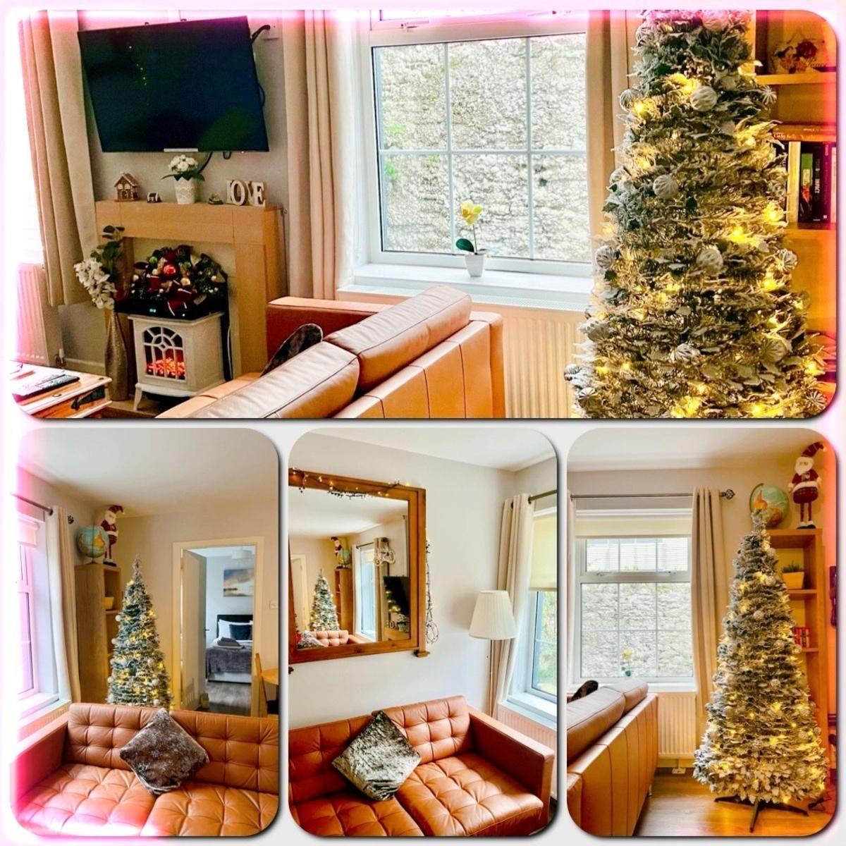 Trinity Apartments Four 1-Bedroom Apts Waterford City Centre Eksteriør billede